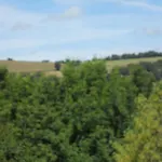 Chateau De La Moissetie Bed & Breakfast 4*
