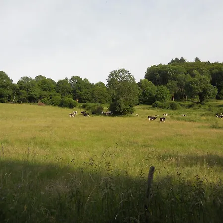 Alojamento de Acomodação e Pequeno-almoço Château De La Moissetie Aurillac