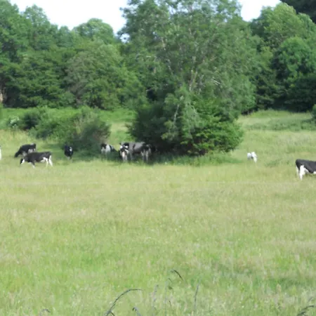 Château De La Moissetie Aurillac