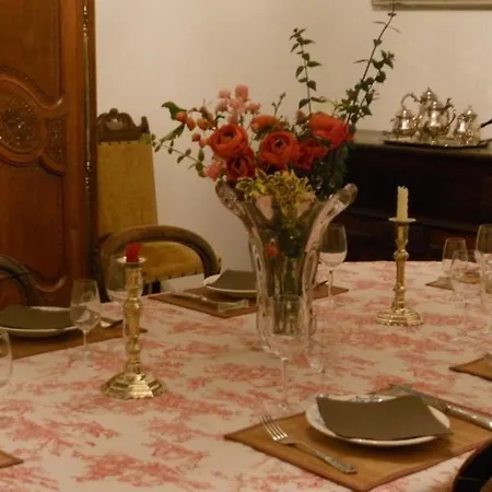 Chateau De La Moissetie B&B 오리야크