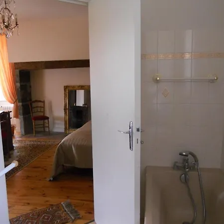 Chateau De La Moissetie فندق مبيت وإفطار أوريلاك