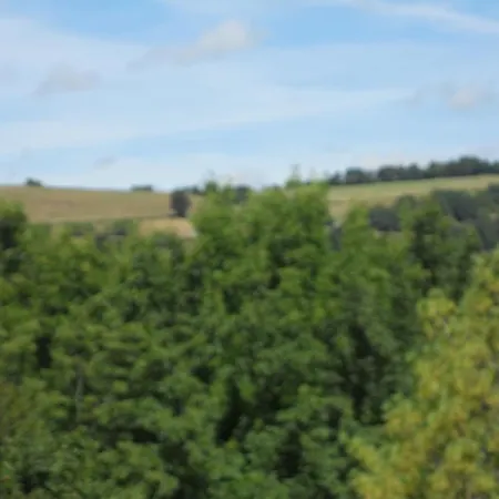 Chateau De La Moissetie B&B 4*