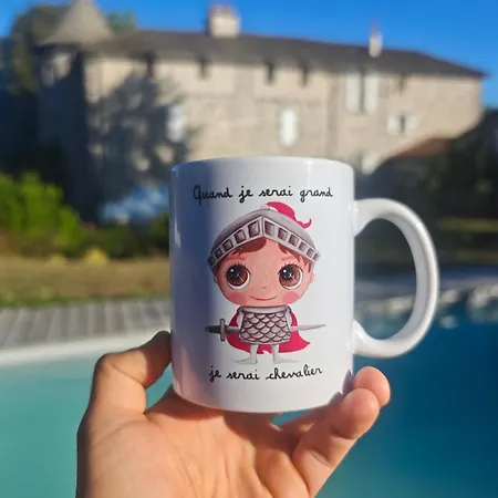 Chateau De La Moissetie فندق مبيت وإفطار 4*