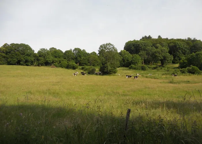 Alojamento de Acomodação e Pequeno-almoço Château De La Moissetie Aurillac