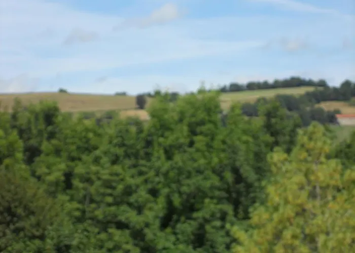 Château De La Moissetie Alojamento de Acomodação e Pequeno-almoço 3*