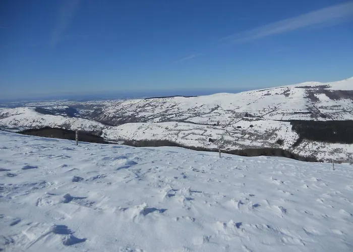 Château De La Moissetie Aurillac