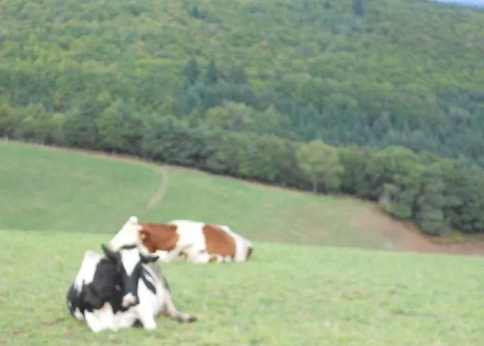 Château De La Moissetie Alojamento de Acomodação e Pequeno-almoço Aurillac