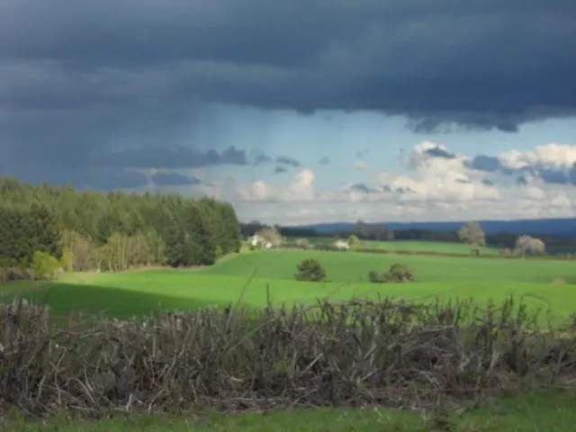 Château De La Moissetie